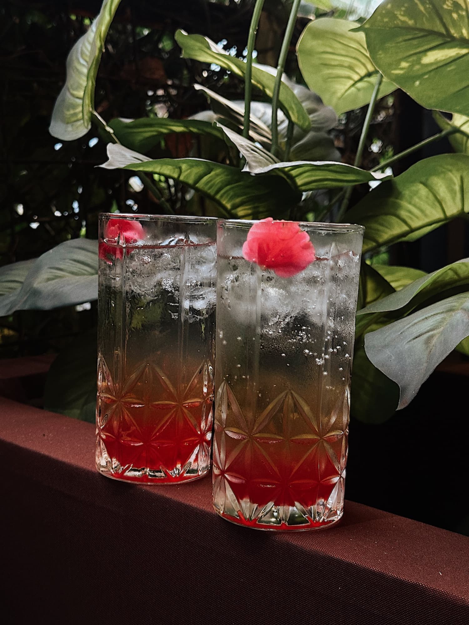Drinks gelados do Loop Drink Ice no jardim do Gastrô Mall